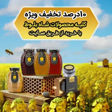 بنر تخفیف محصولات عسل شاه بلوط